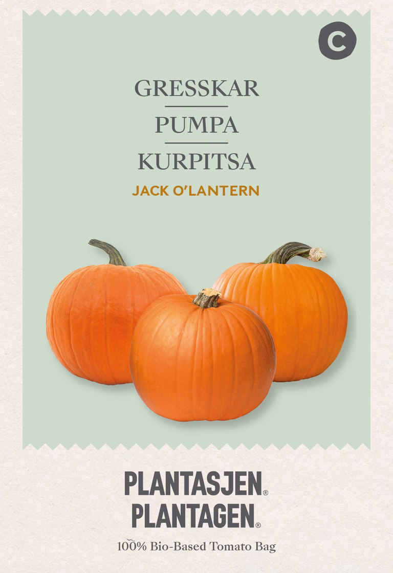 Jack O'Lantern pumpkin - 3 g
