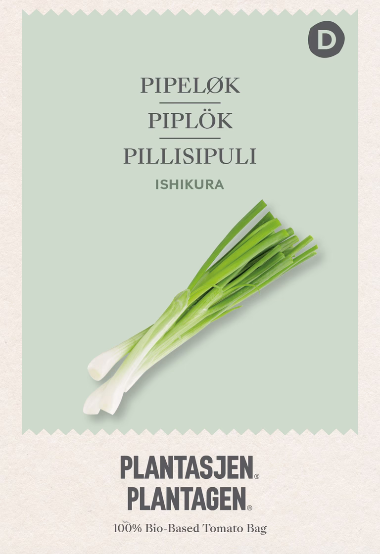 Piplök 'Ishikura'