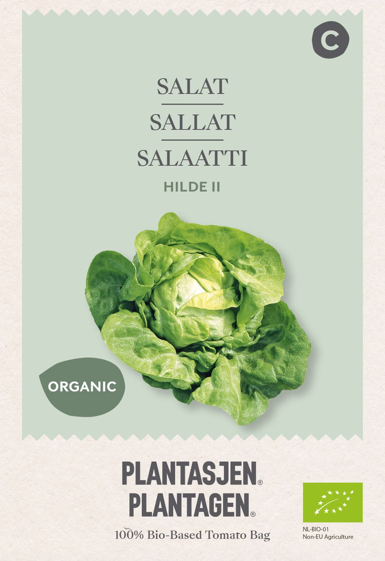 Sallat 'Hilde II'