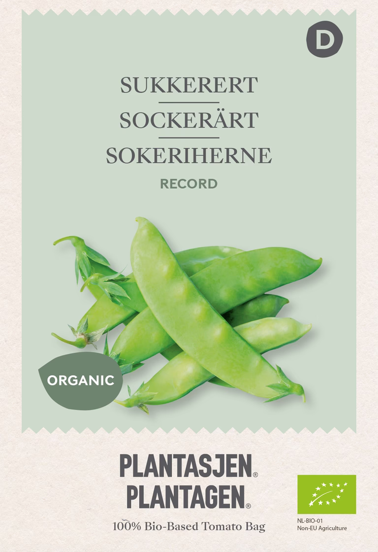 Sockerärt 'Record'