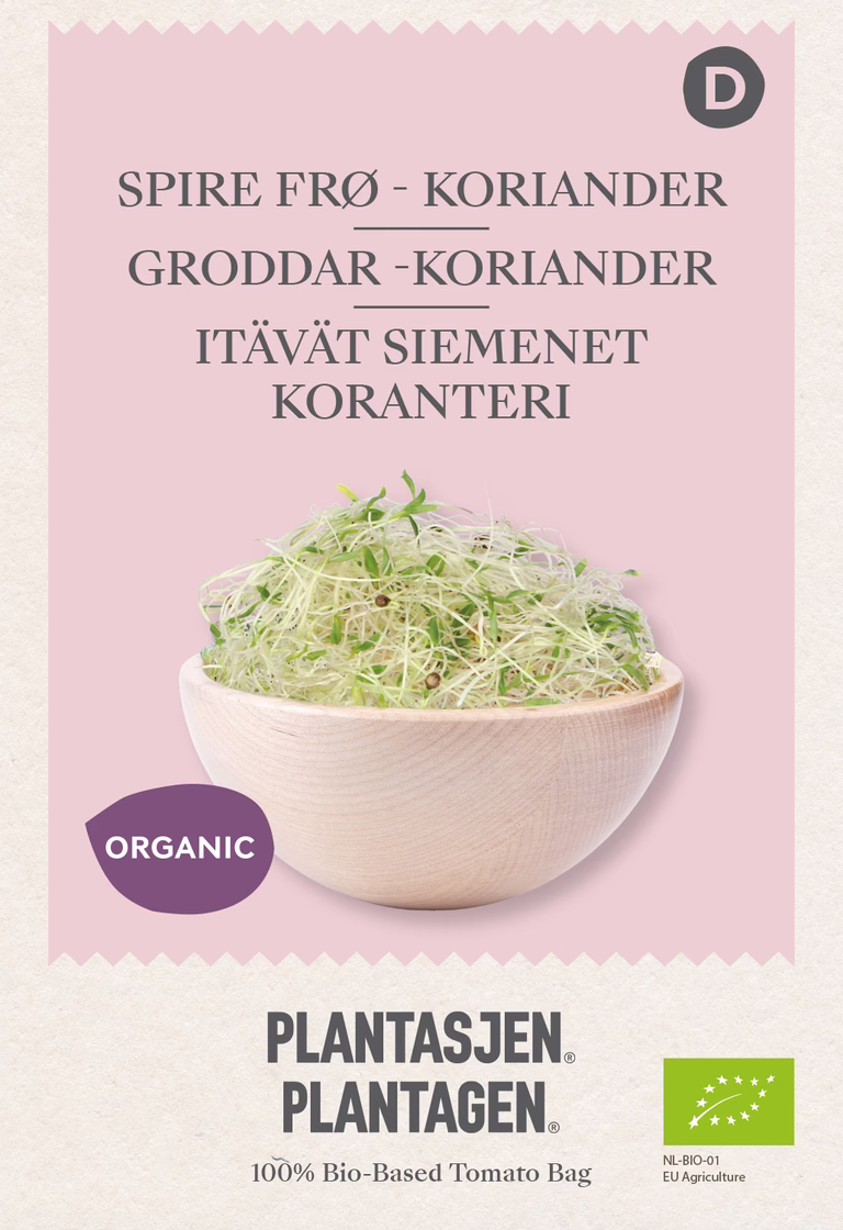 Koriander - Groddar