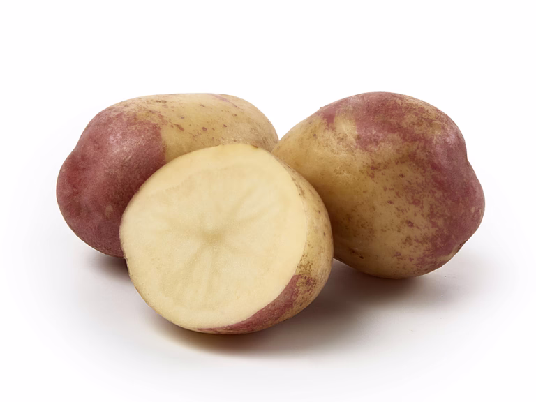 Sättpotatis 'King Edward'