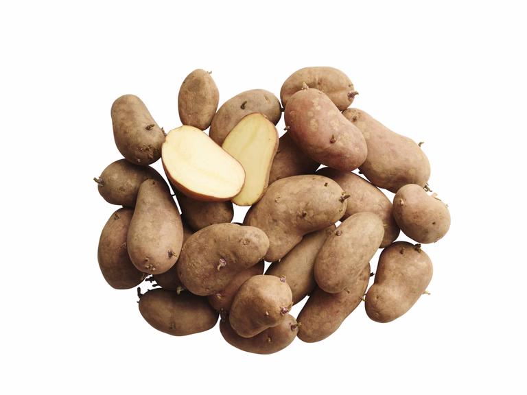 Sättpotatis 'Chérie'