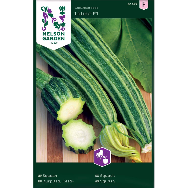 Squash 'Latino'