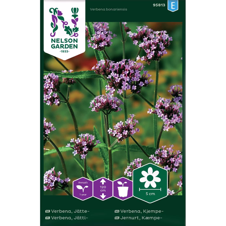 Verbena, Jätte-