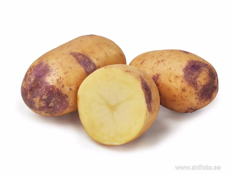 Sättpotatis 'Blue Belle'