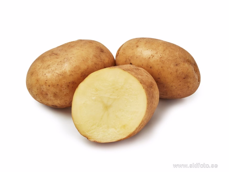 Sättpotatis 'Maria'