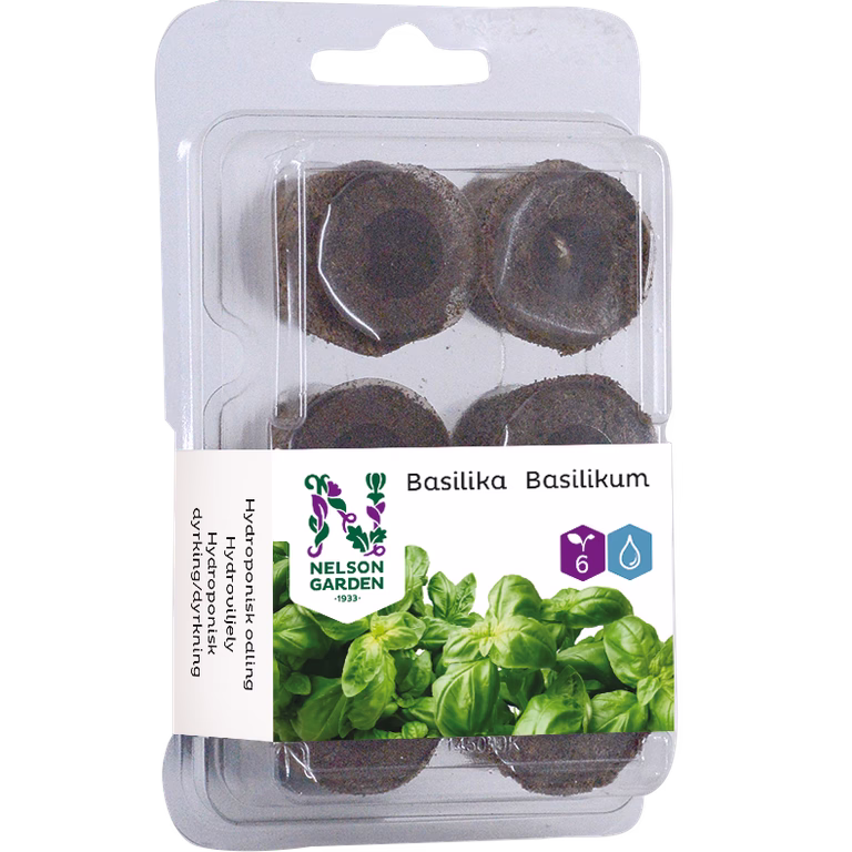 Seed plug Hydroponic - Basil