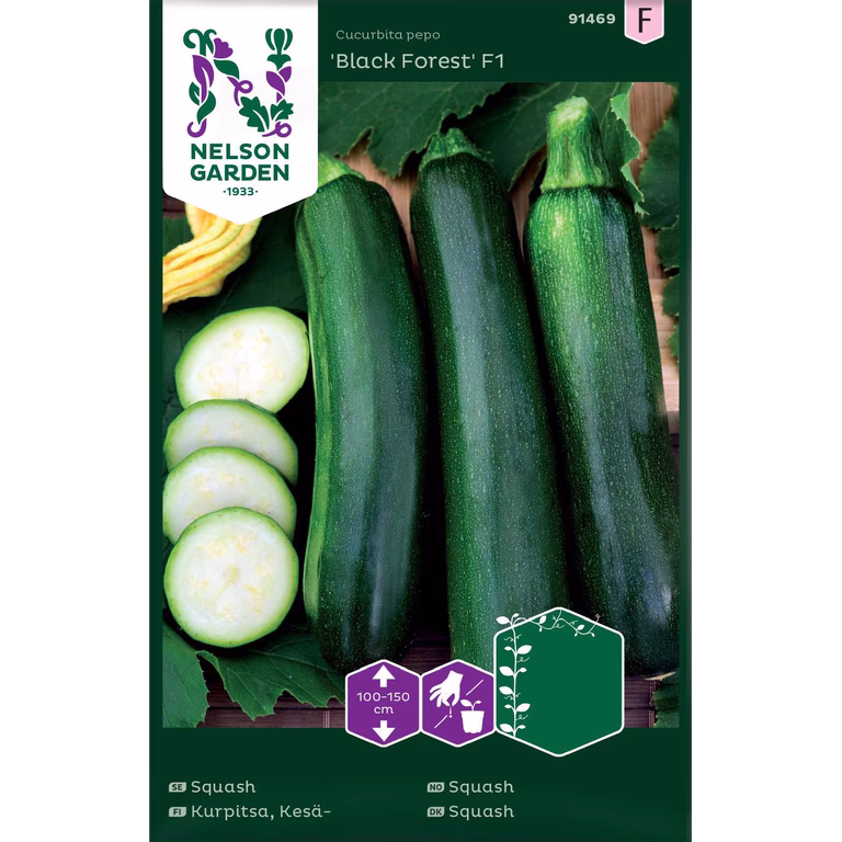 Squash 'Black Forest'