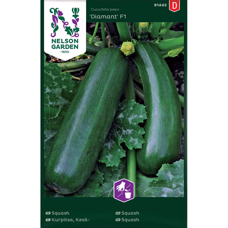 Squash 'Diamant'