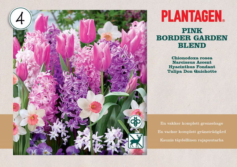 Vårlök mix 'Pink Blend'