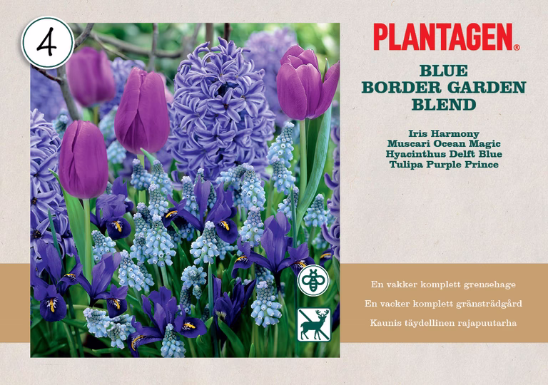 Vårlök mix 'Blue Blend'