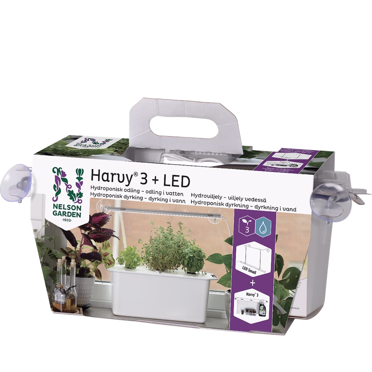 Harvy 3 Gift Pack