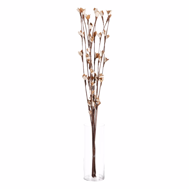 Pappersblomma lilja