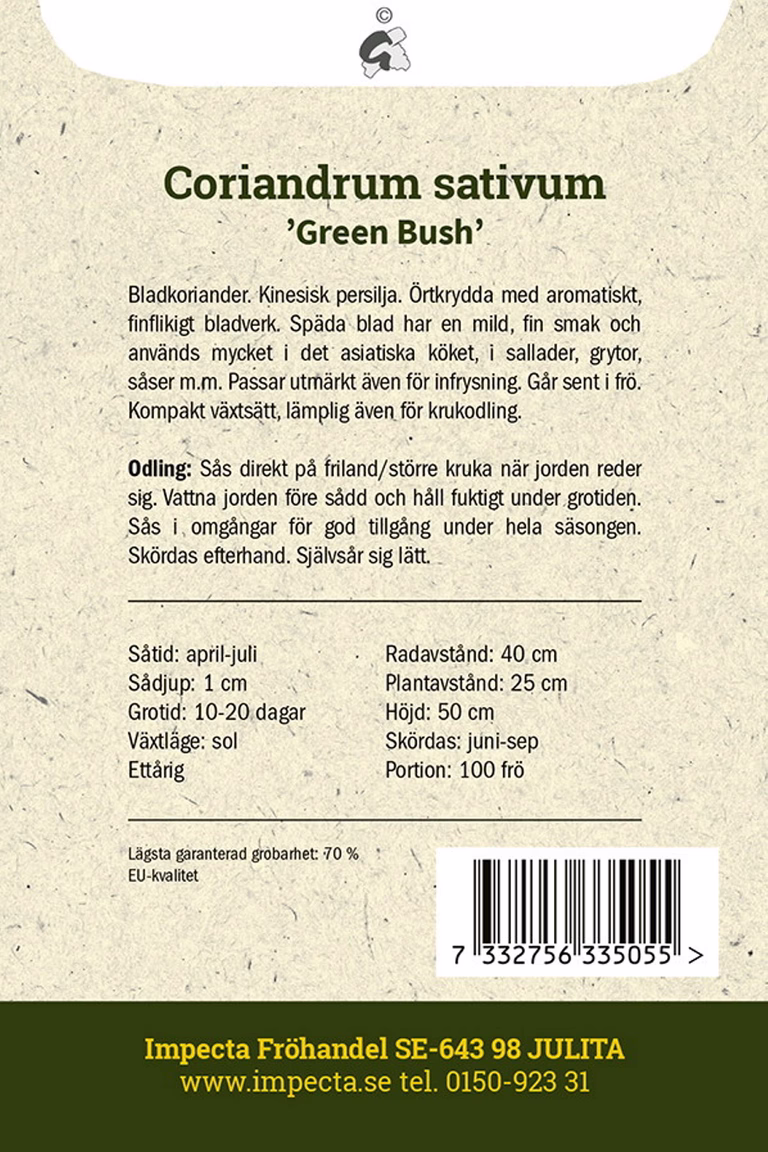 Koriander 'Green Bush'