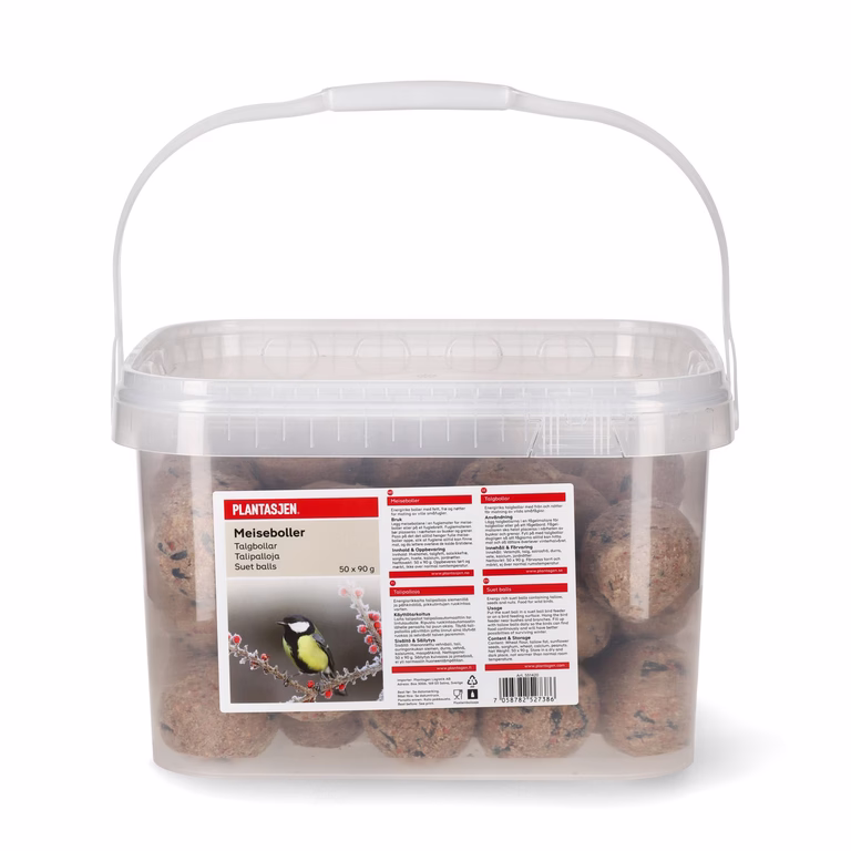 Suet balls in a bucket, 50 PCS