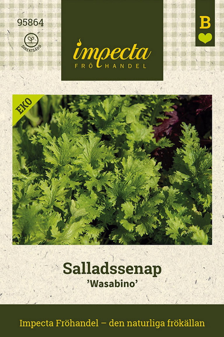 Salladssenap 'Wasabino'