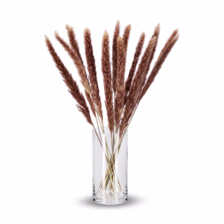 Fluffy Pampas Naturel