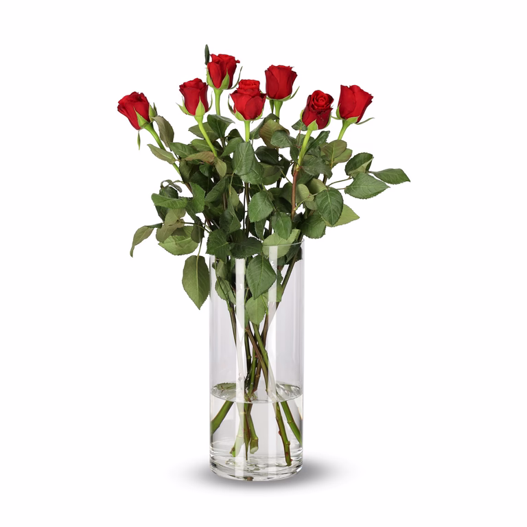 Rosor 10-pack