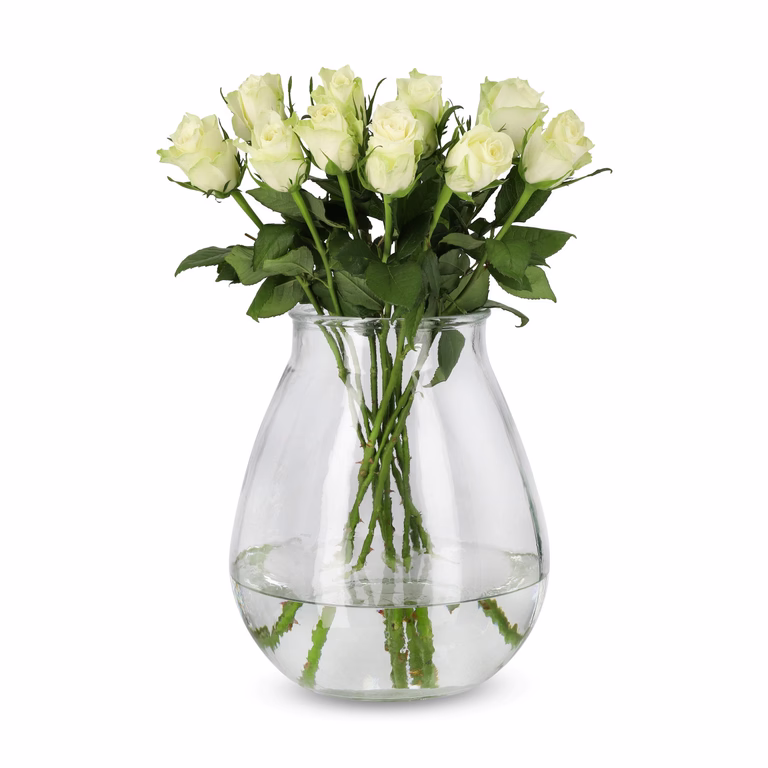 Roses Premium White 50cm YR