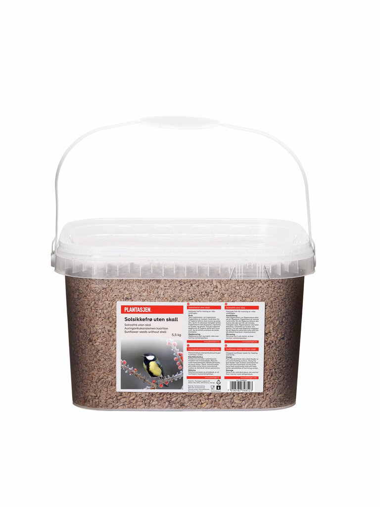 Sunflower seed grains in a buc