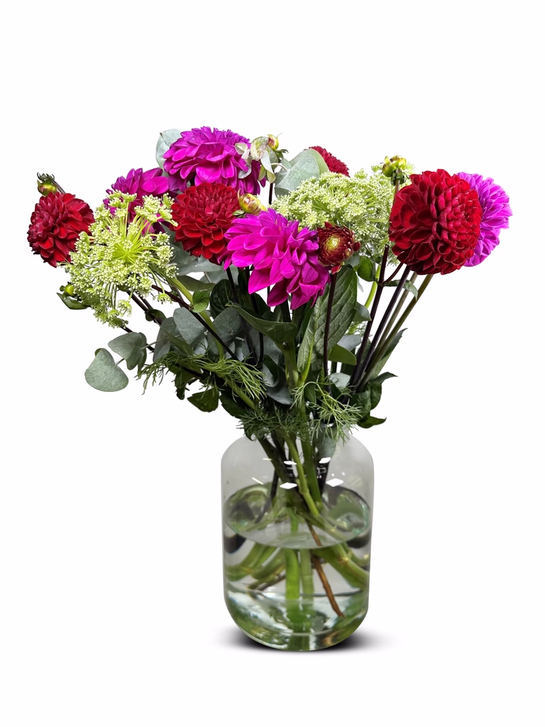 https://media.crystallize.com/pltn/25/8/18/18/@768/dahlia_2.avif