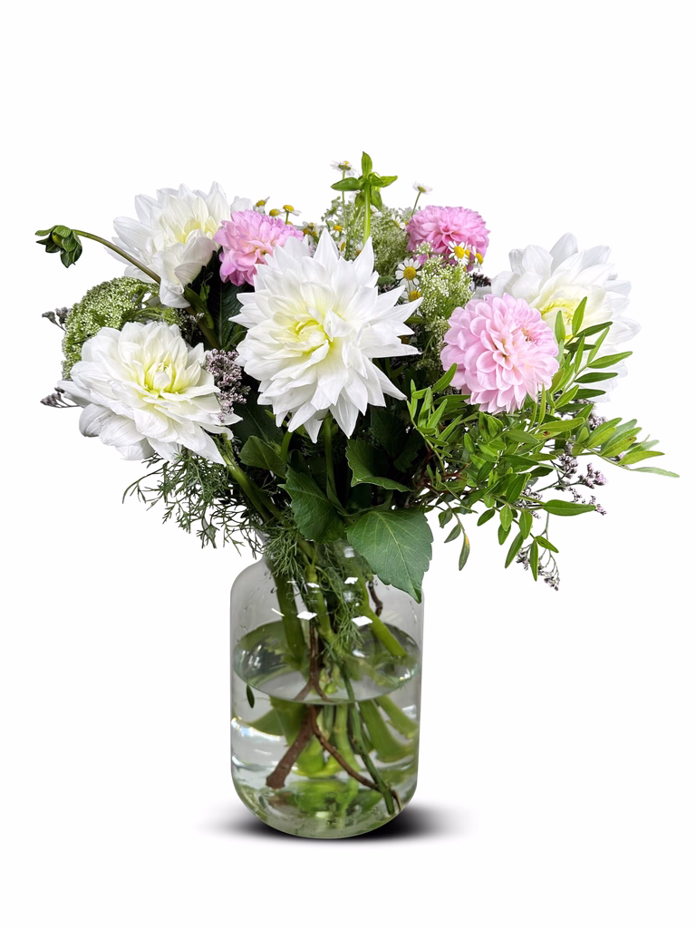 https://media.crystallize.com/pltn/25/8/18/21/@768/dahlia_big.avif