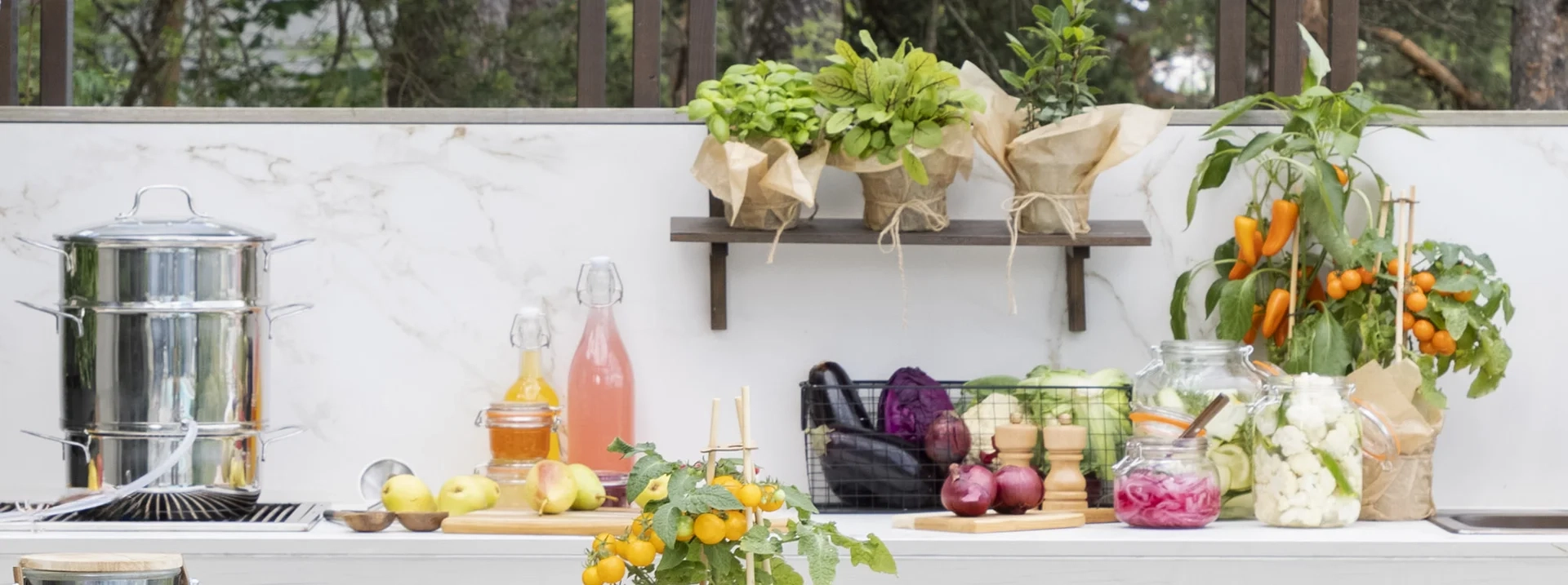 30% off all Mediterranean plants