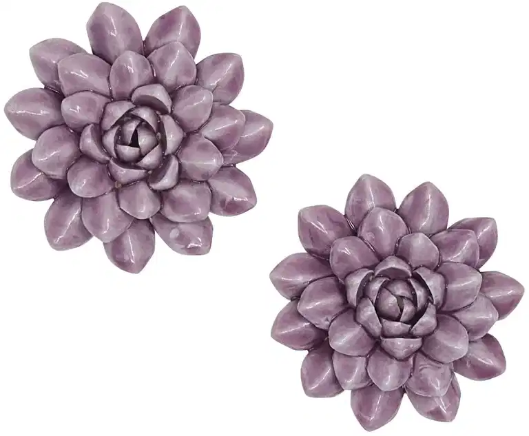 Decorationflowers Blossoms 