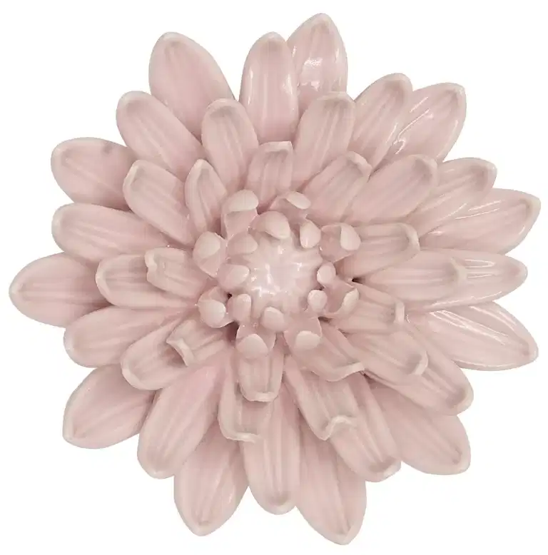 Decoration flower Blossoms 