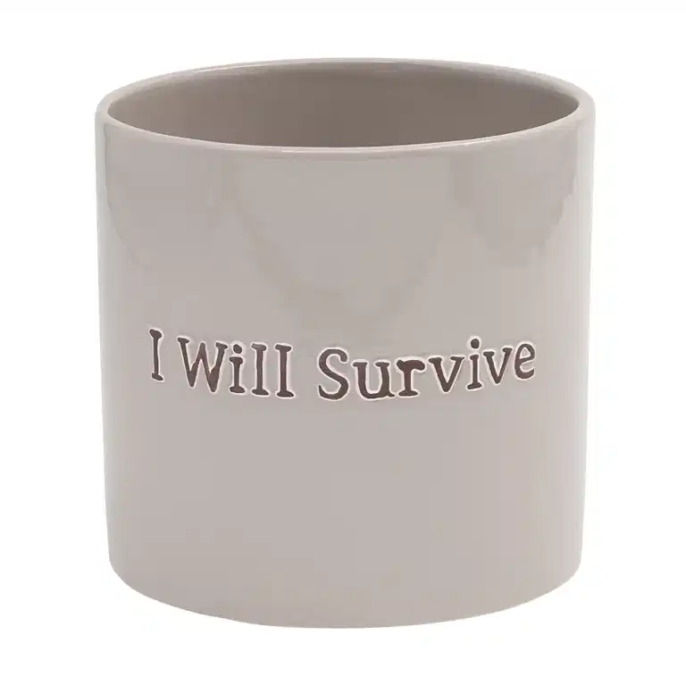 Pot I Will Survive