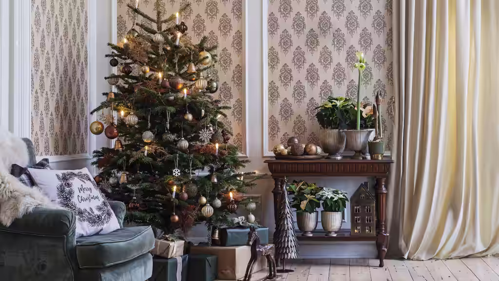 Så lyckas du med julgranen – tips och skötselråd 