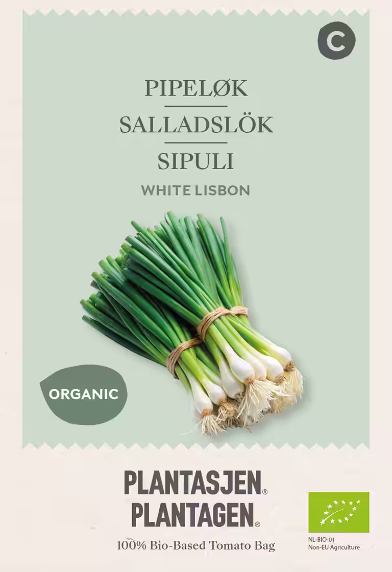 Salladslök
