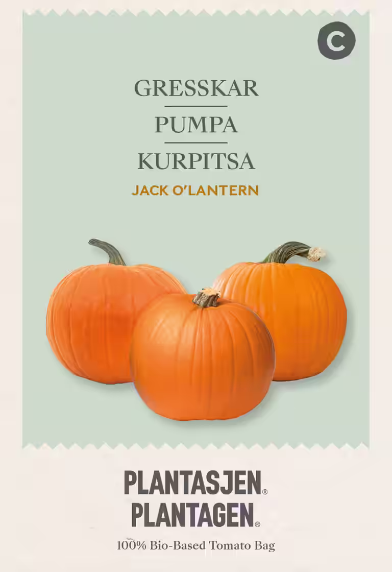 Pumpa 'Jack o'lantern'