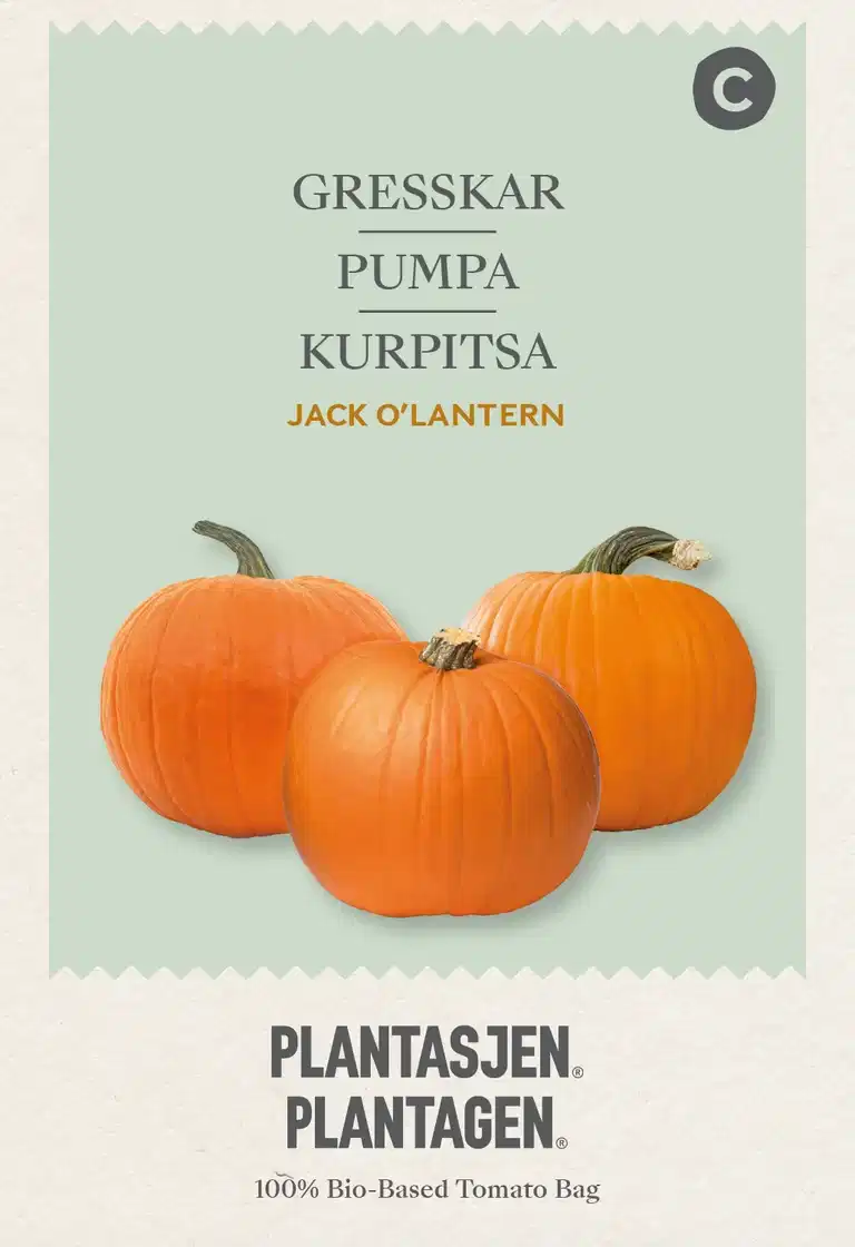 Pumpa 'Jack o'lantern'