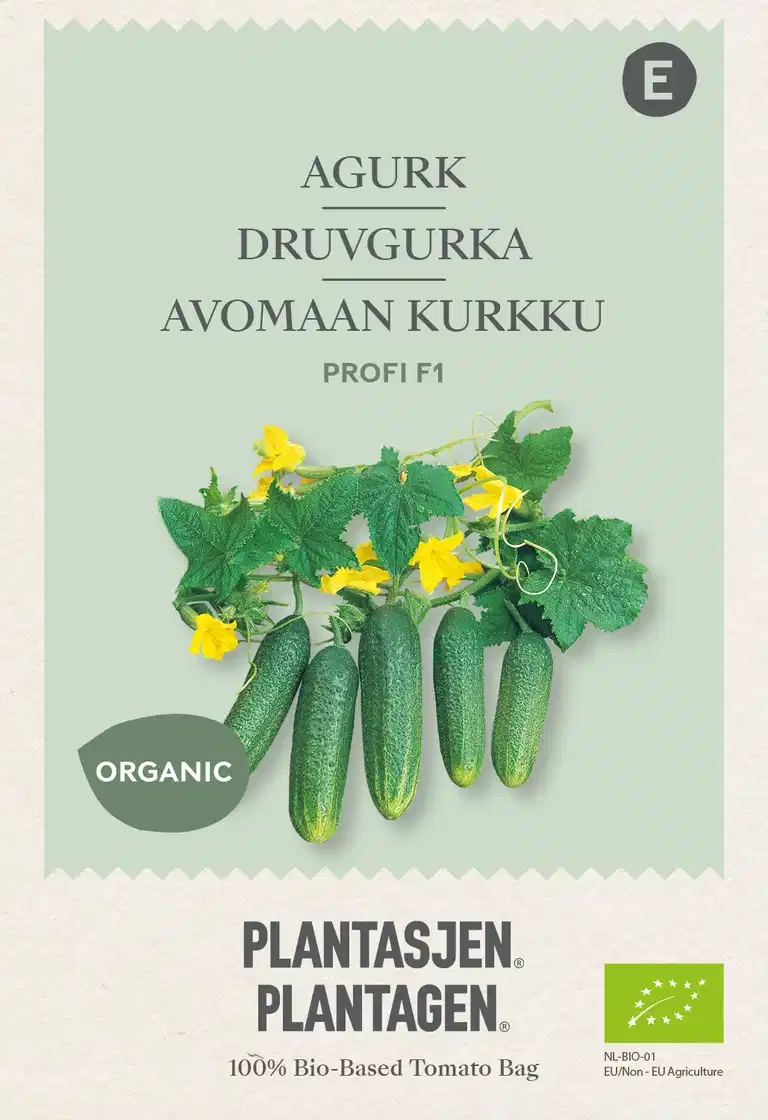 Druvgurka 'Profi' F1