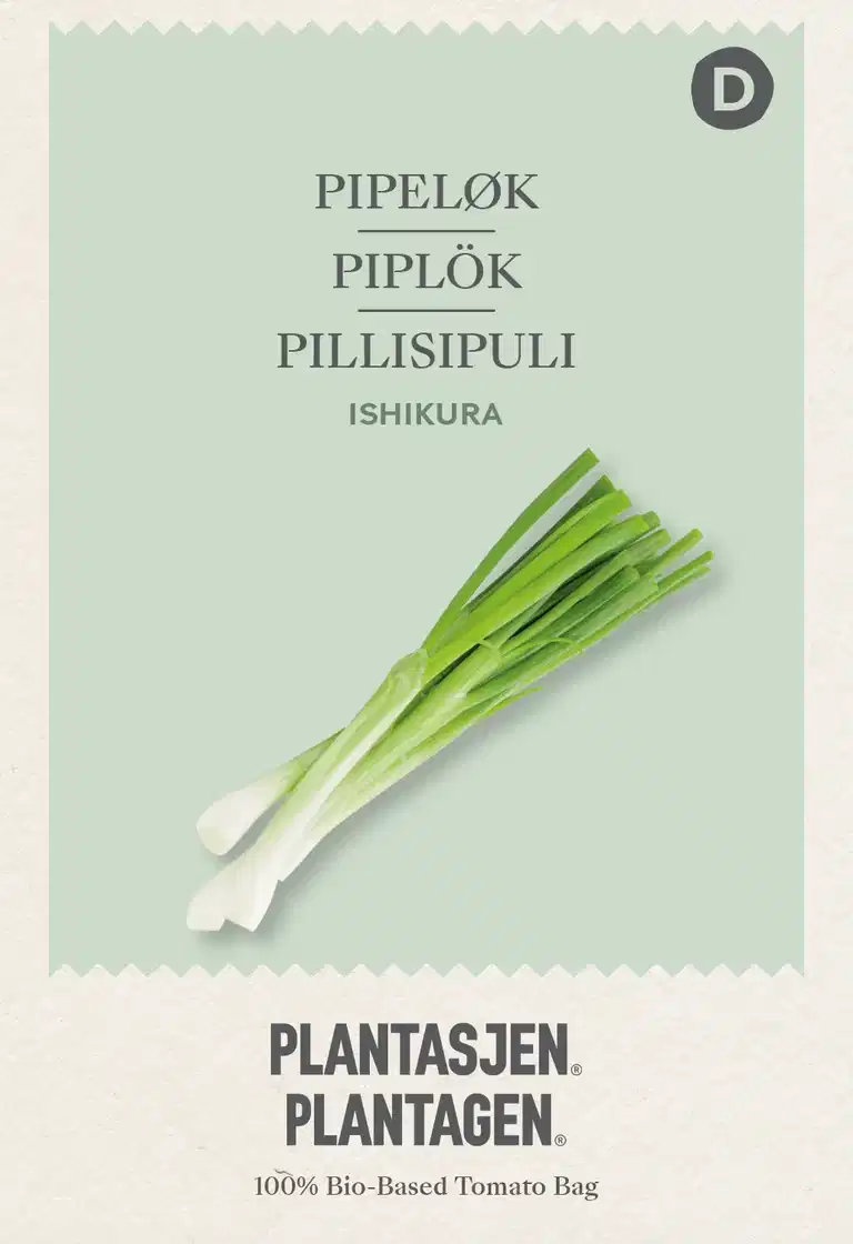 Piplök 'Ishikura'