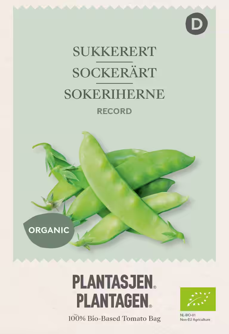 Sockerärt 'Record'