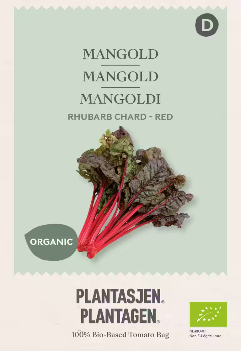 Mangold