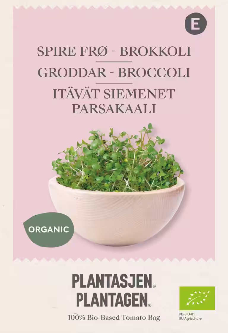 Broccoli - Groddar