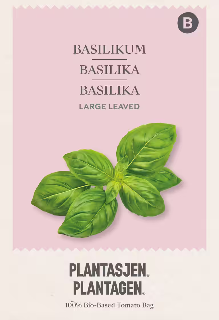Basilika 'Large leaved'