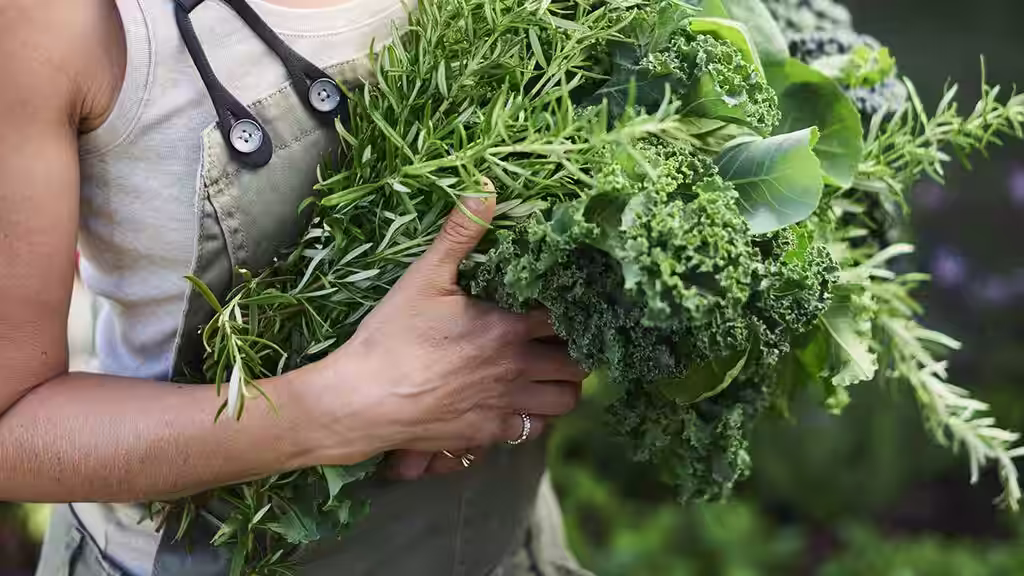 Snabbväxande grönsaker och blommor – odling i sista minuten 