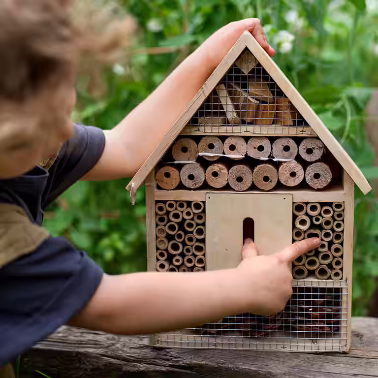 Bygg ditt eget insekthotell - på sju enkla steg