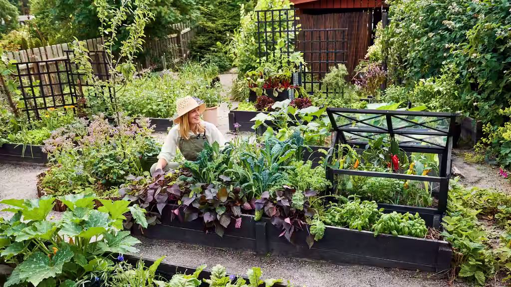 Garden as therapy