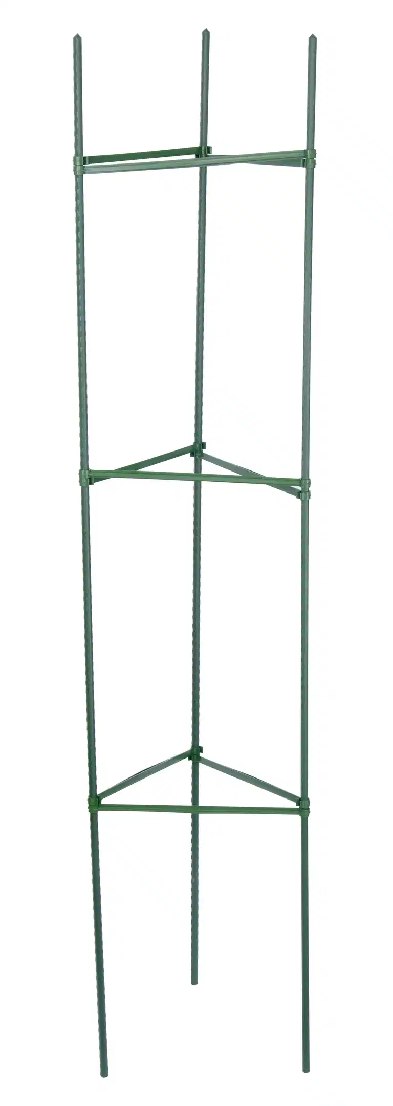 Växtstöd för tomat