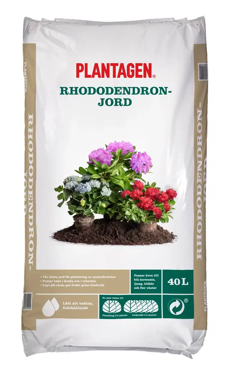 Rhododendronjord