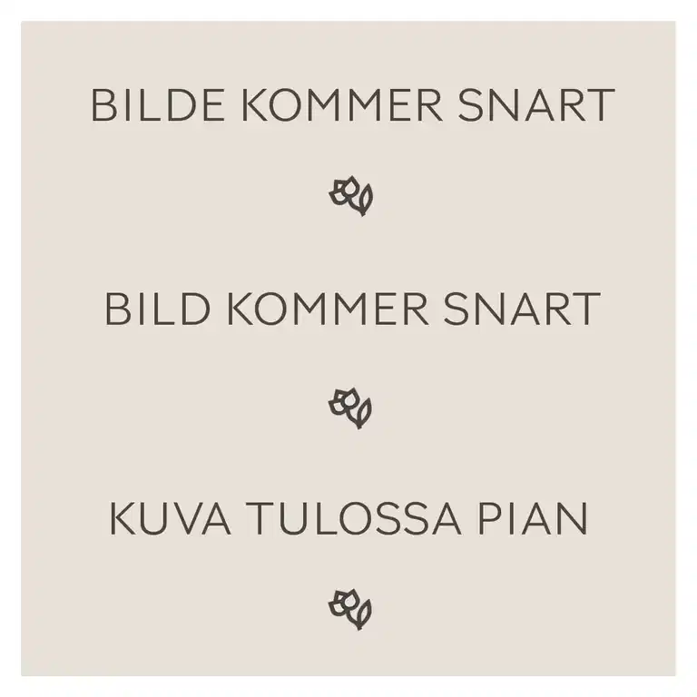 Vårljung 'Winter Ladies'