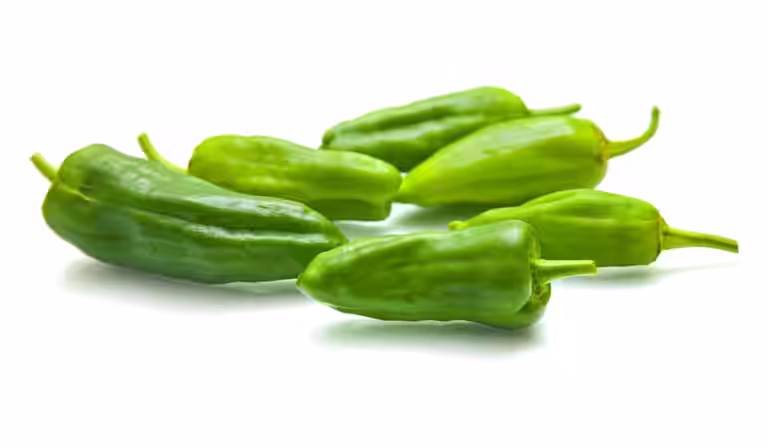 Chili 'Pimiento de Padrón'