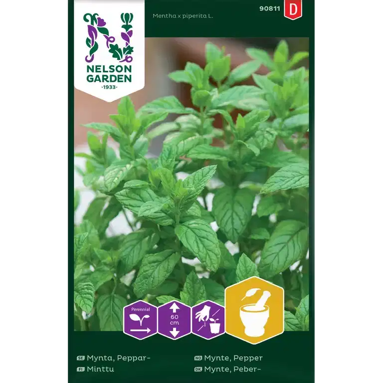 Mynta, Peppar-