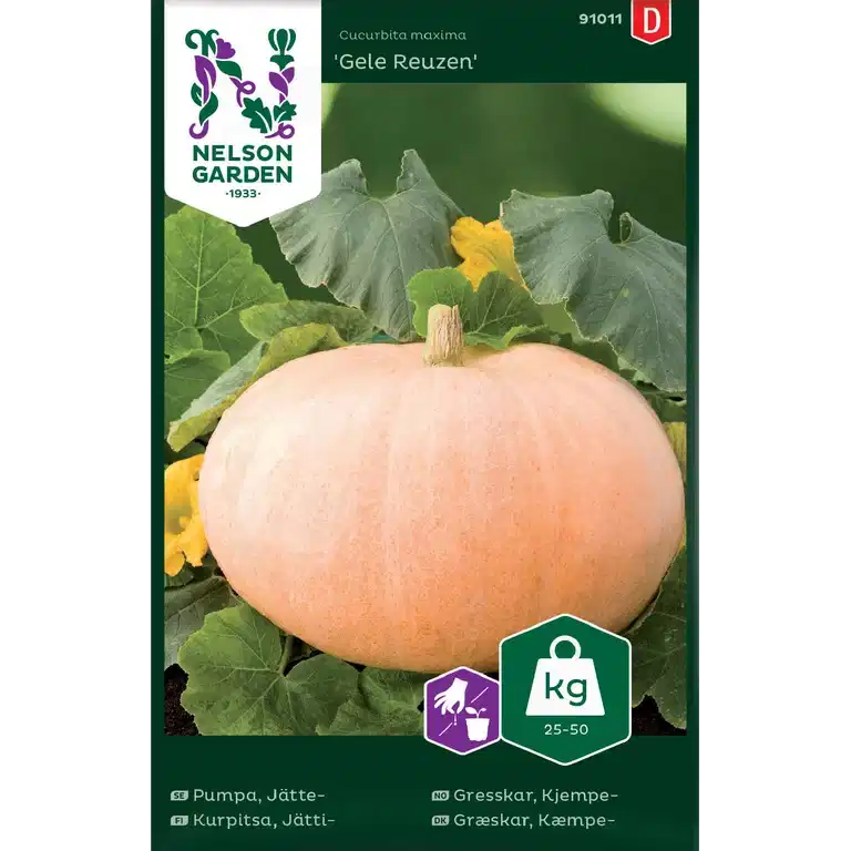 Jättepumpa 'Gele Reuzen'